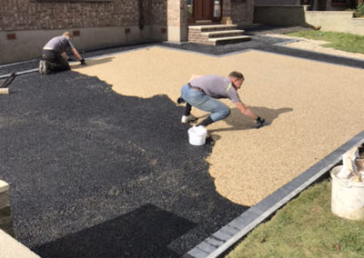 Resin dunniker before